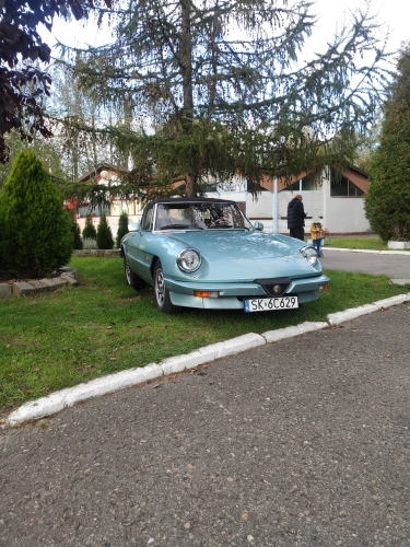 Alfa Romeo Spider (115) 
