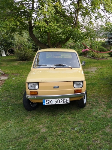 126p  Fl