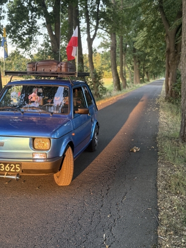 126 ELX SX