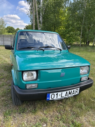 126p  126
