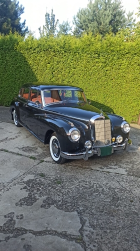 Mercedes W 187 - 1954