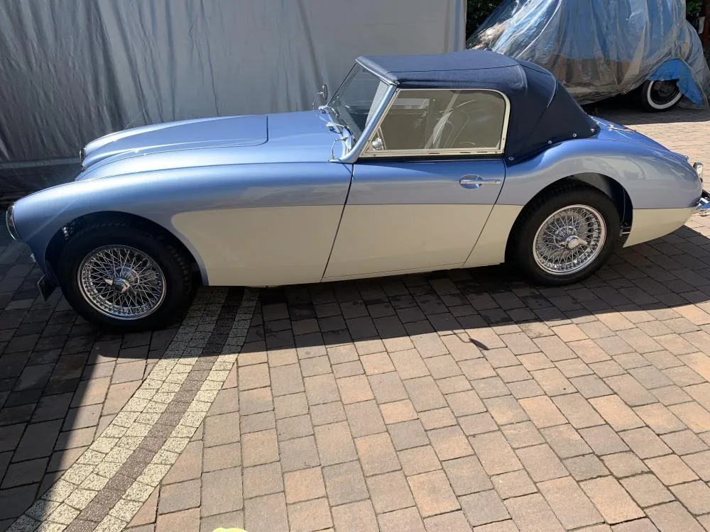 AUSTIN HEALEY 3000 (1960)